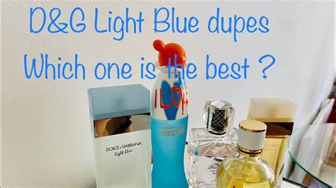 d&g light blue intense dupe